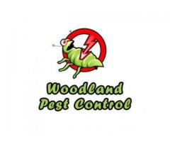 CDO Pest Control by Woodland Pest Control